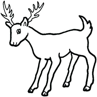 400x398 Coloring Pages Deer Deer Color Pages Deer Coloring Page Free