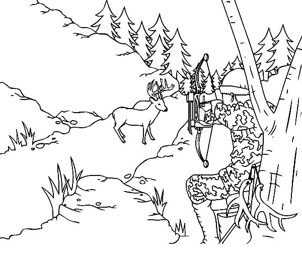 Deer Coloring Pages Printable
