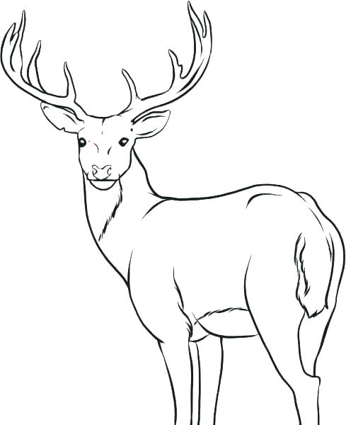 489x600 Deer Hunting Coloring Pages Deer Hunting Symbols Deer Hunting
