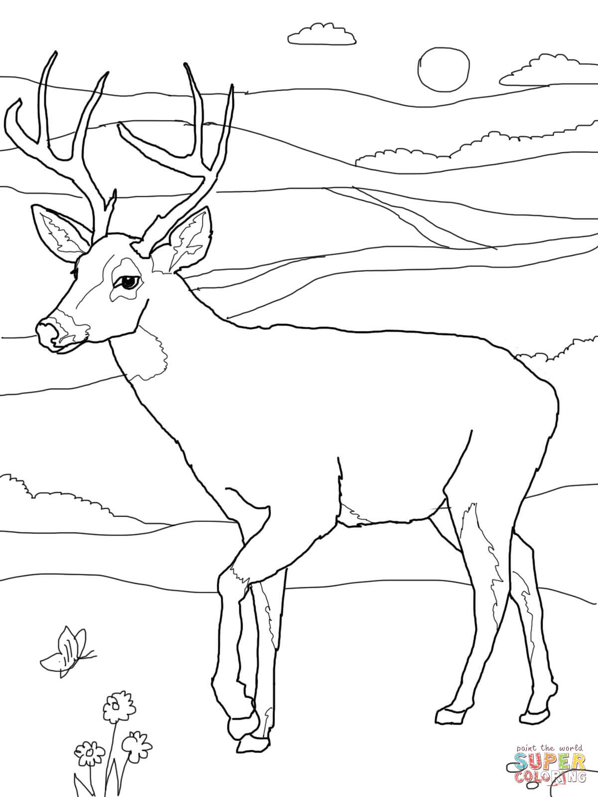 1200x1600 Endorsed Deer Coloring Sheet White Tail Page Free Printable Pages