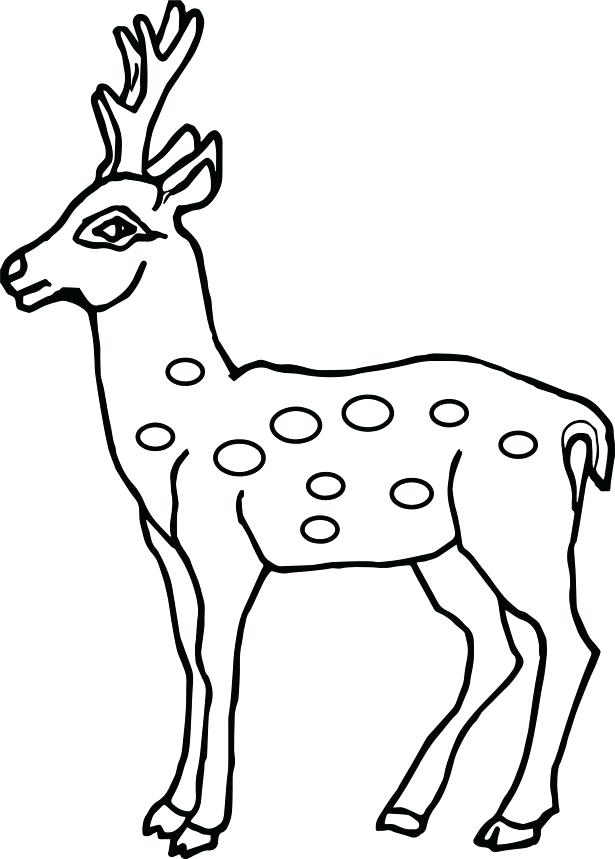 615x859 Coloring Pages Of Deer Coloring Pages Animals All Is Coloring Page