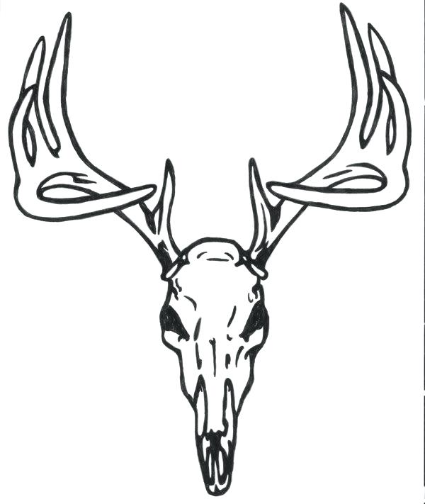 600x711 Deer Head Coloring Pages Deer Coloring Pages Deer Head Deer Face