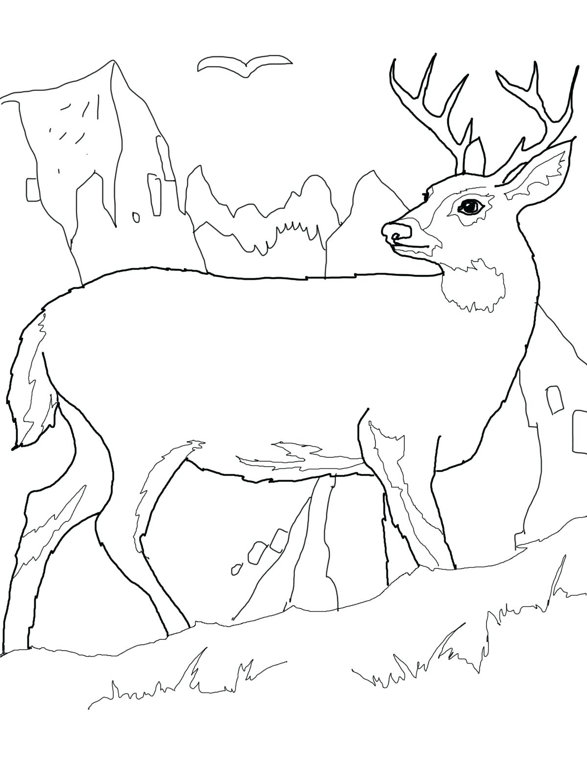 1200x1600 New Coloring Deer Coloring Pages