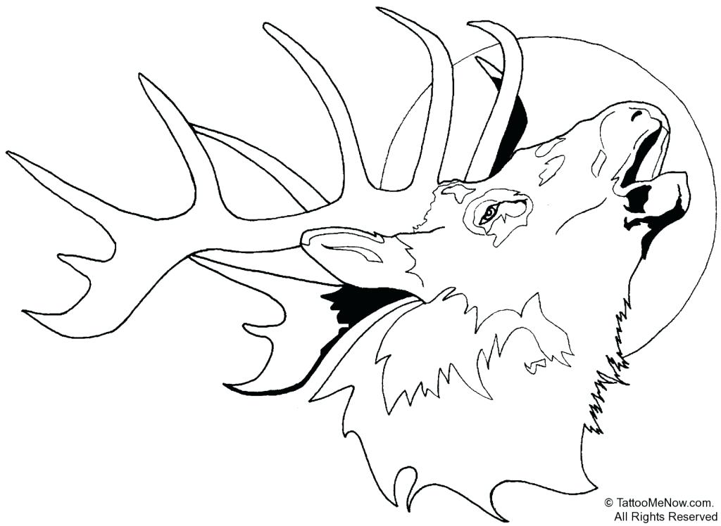 1024x748 This Is Deer Coloring Page Images Printable Deer Coloring Pages