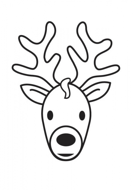 531x750 Deer Coloring Pages 13