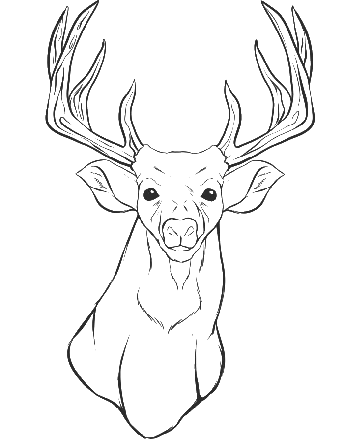 Deer Head Coloring Pages