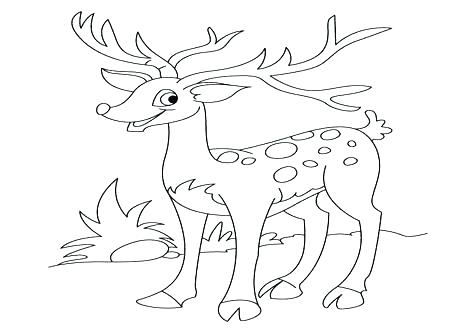 476x333 Deer Coloring Pages Coloring Page Free John Deere Coloring Pages