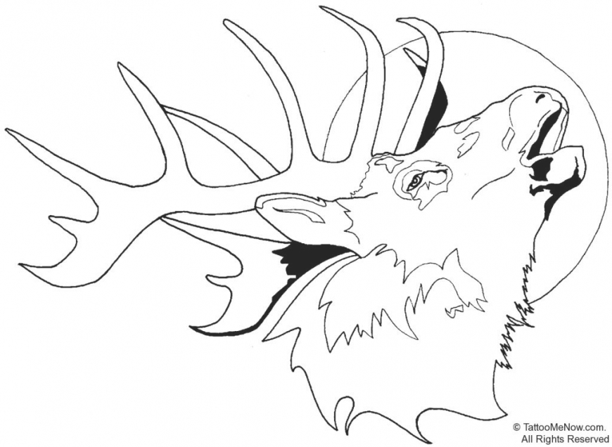 870x636 Coloring Pages. Deer Head Coloring Pages