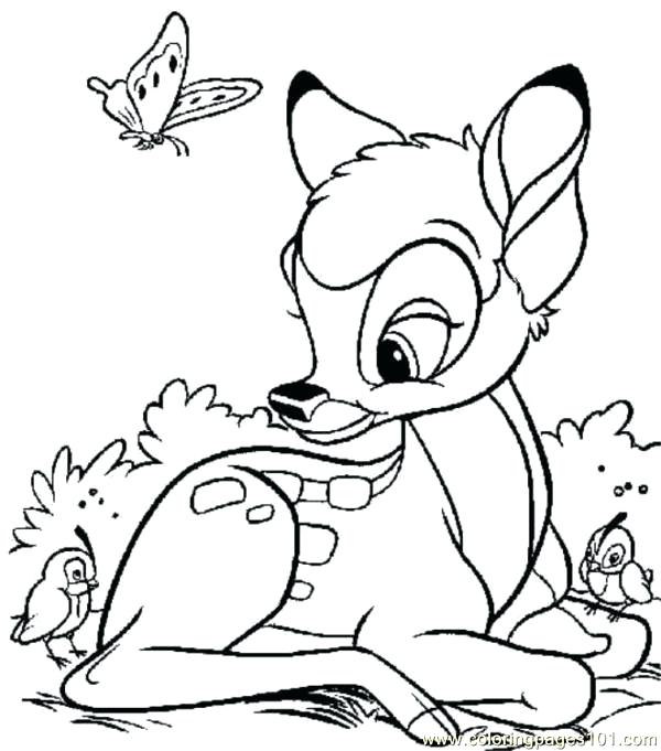 600x681 Deer Coloring Baby Deer Coloring Page Deer Head Coloring Pages