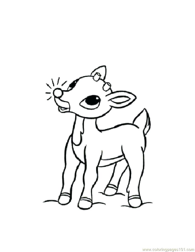 800x1034 Coloring Pages ~ Deer Coloring Page Head Outline Deer Coloring