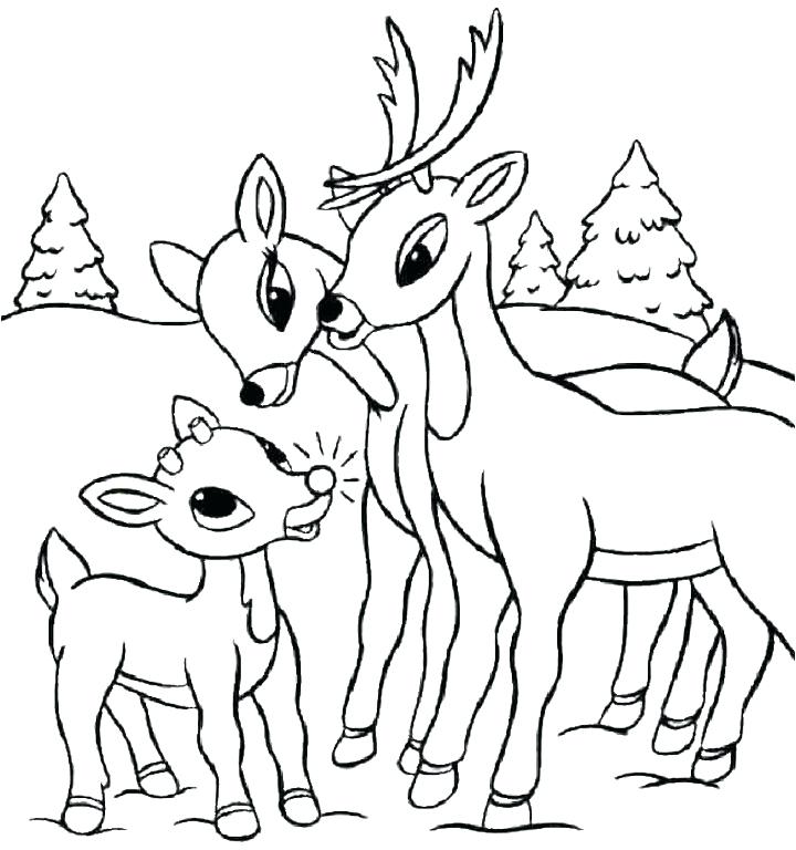 720x768 Coloring Pages Deer Deer Head Coloring Pages Deer Skull Deer Face