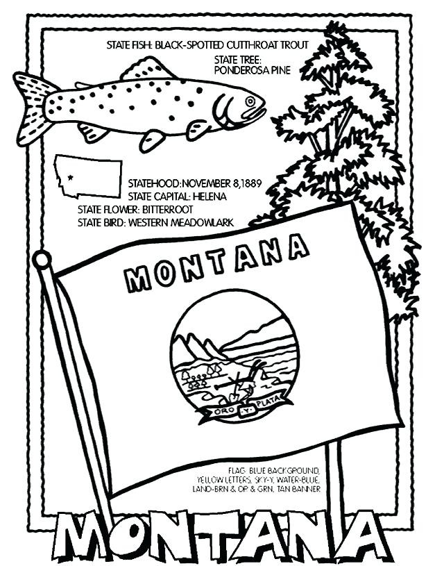 627x815 20 Lovely Delaware State Flower Coloring Page Msainfo.us