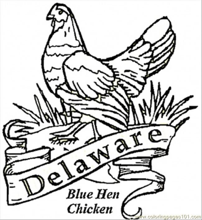 650x708 Blue Hen Bird Of Delaware Coloring Page Delaware