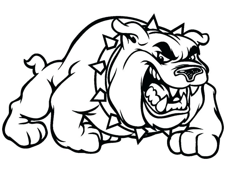 736x552 Broncos Coloring Pages Broncos Coloring Pages Amazing About