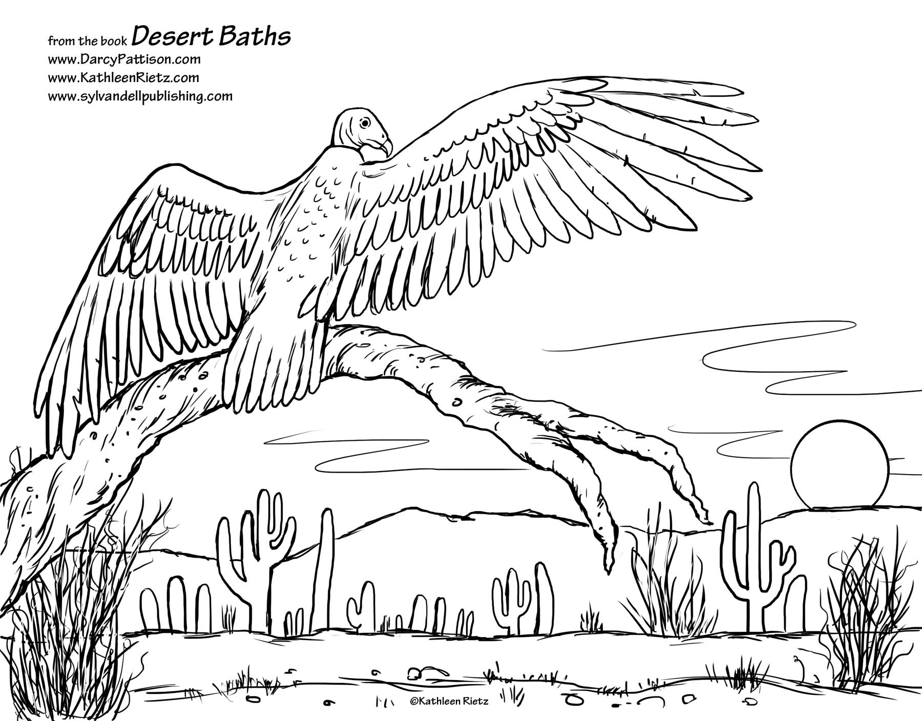 1800x1408 Destiny Sonoran Desert Coloring Pages Perhaps The Best Known Plant