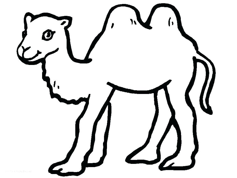 957x718 Desert Animal Coloring Sheets Animal Coloring Pages Free Printable