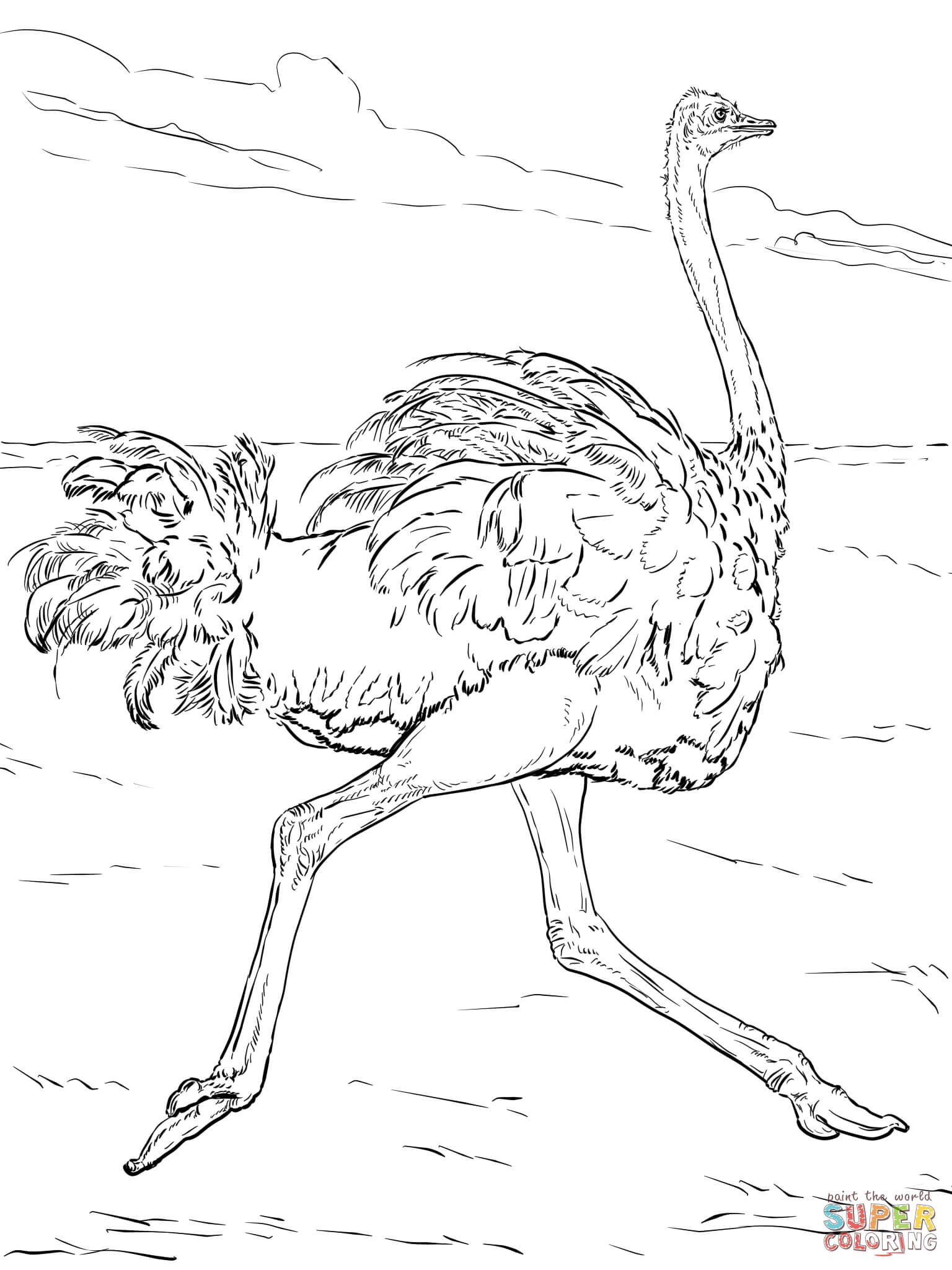 1536x2048 Desert Animals Coloring Pages Preschool In Tiny Print Pict