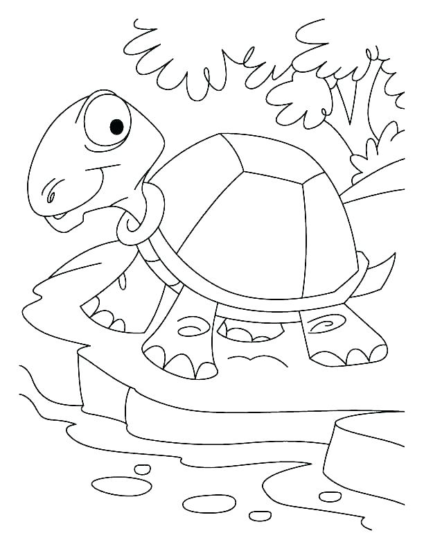 612x792 Desert Coloring Pages Desert Animals Coloring Page Free Printable