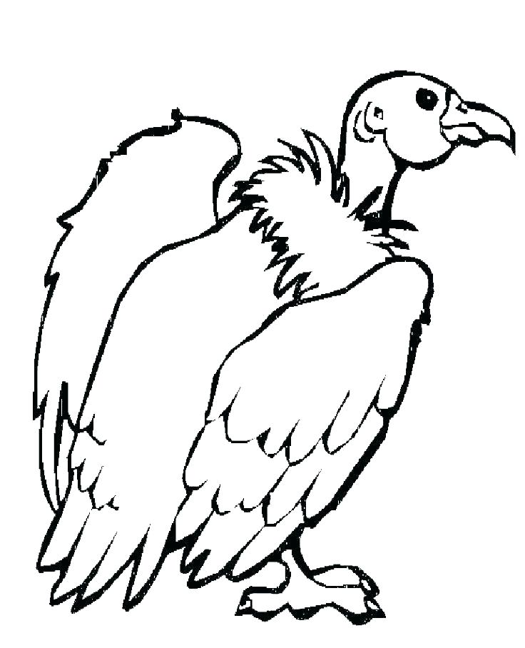 736x908 Wildlife Coloring Pages Desert Animals Coloring Pages Cute Animal