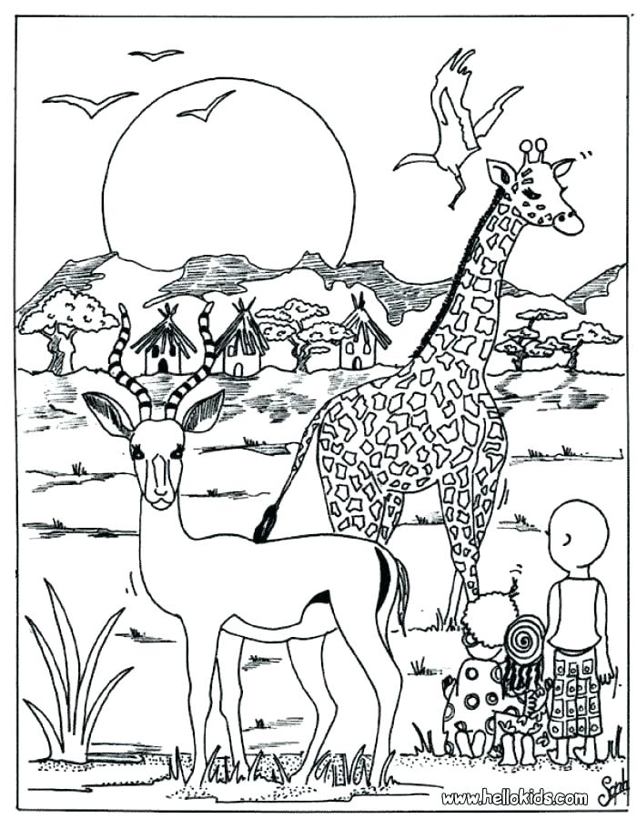 700x900 Desert Animal Coloring Pages Coloring Pages Kids Crafts