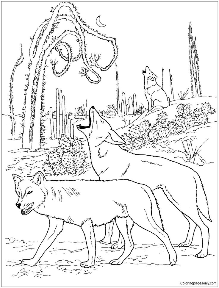 Desert Coloring Pages