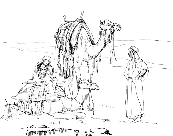 734x575 Desert Coloring Pages