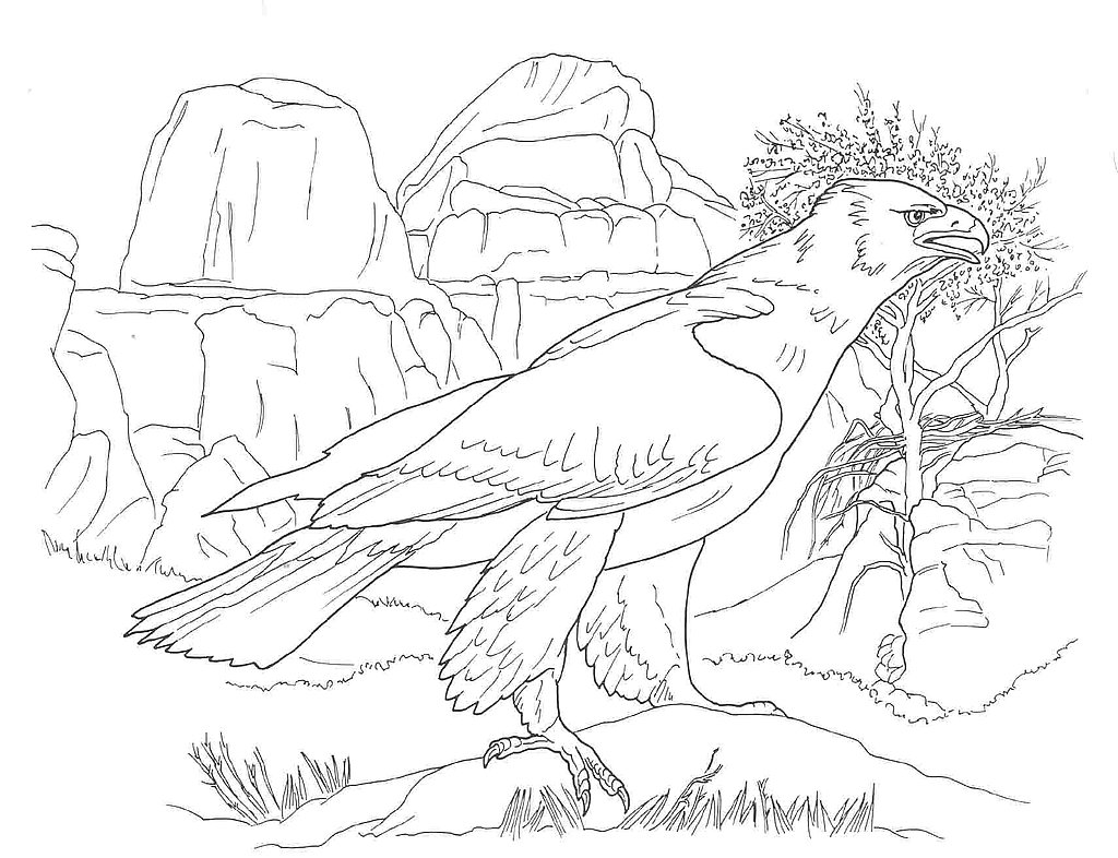 1024x786 Desert Coloring Pages