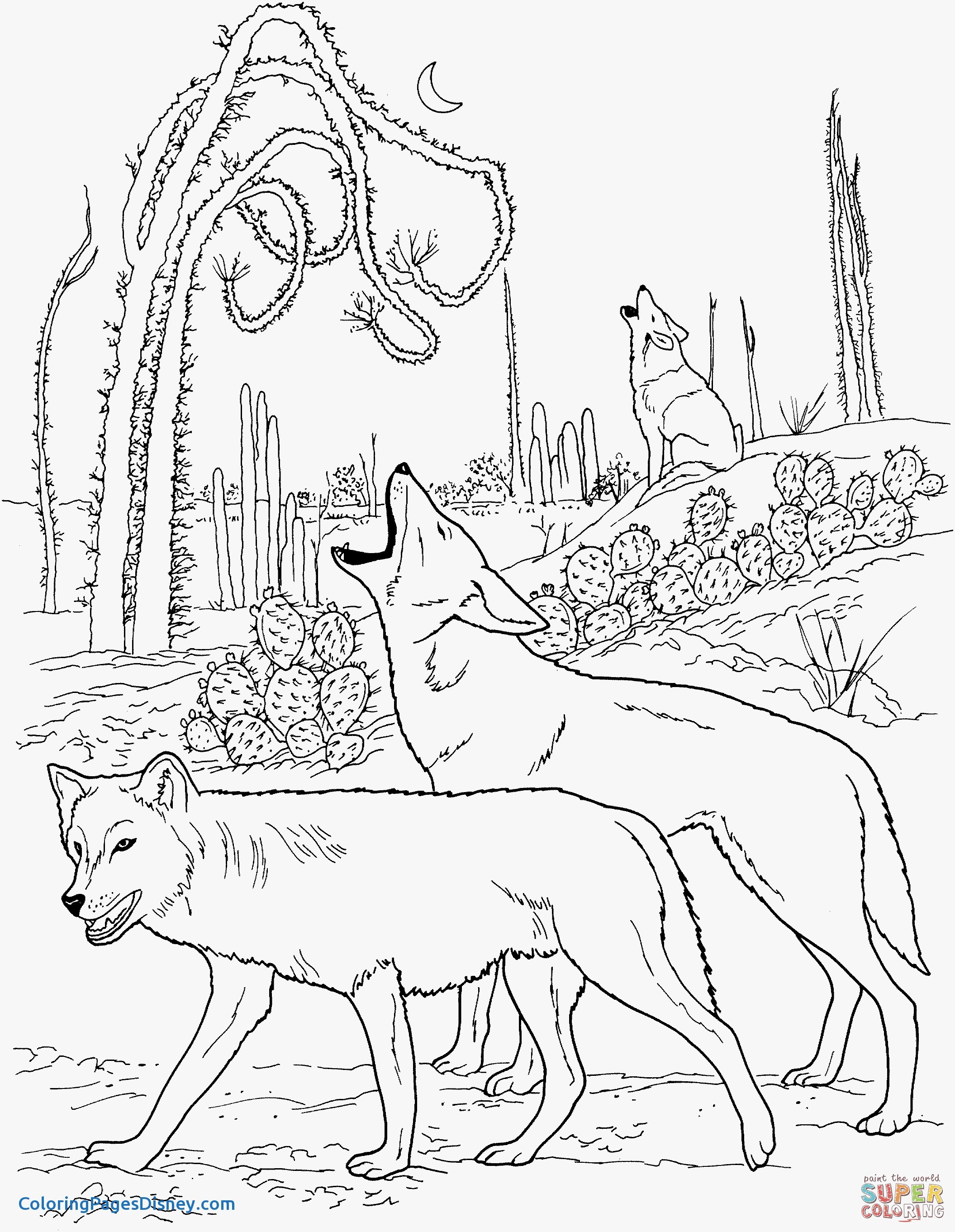 2111x2722 Coyote Coloring Pages Inspirational Coyotes Howling In Desert