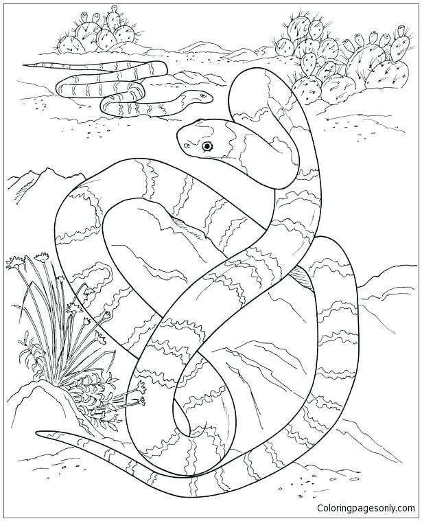 615x759 Desert Coloring Pages Desert Deserts Coloring Pages Desert Habitat