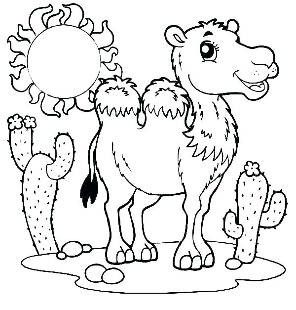 600x627 Desert Coloring Pages Wallaby Animal Coloring Pages Desert Animals