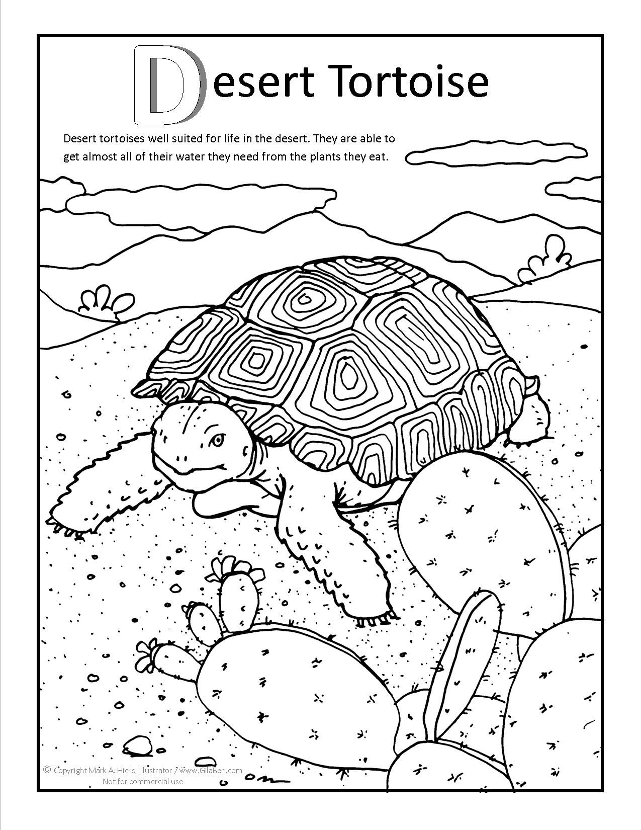 1275x1650 Desert Coloring Pages To Print Printable Coloring For Kids 2018