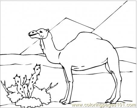 454x360 Fun Desert Coloring Pages Printable Animals Landscape Scorpion