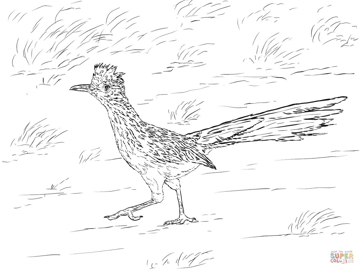 1200x900 Value Desert Coloring Pages Animals Free Print