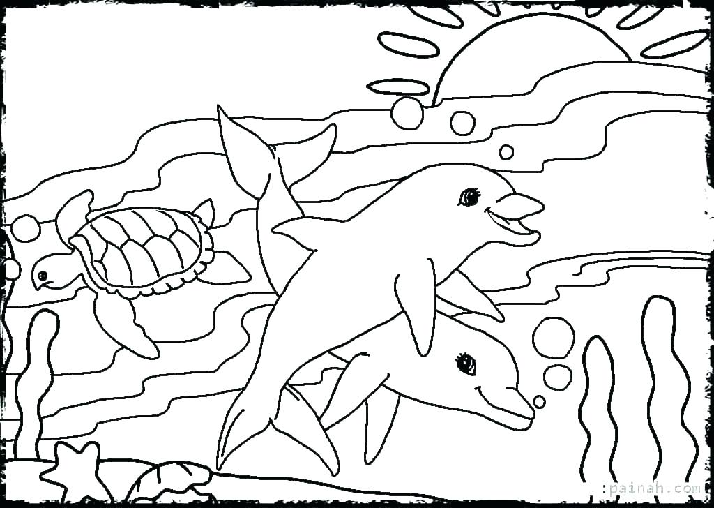 1024x728 Desert Animals Coloring Pages Habitat Coloring Pages Animal