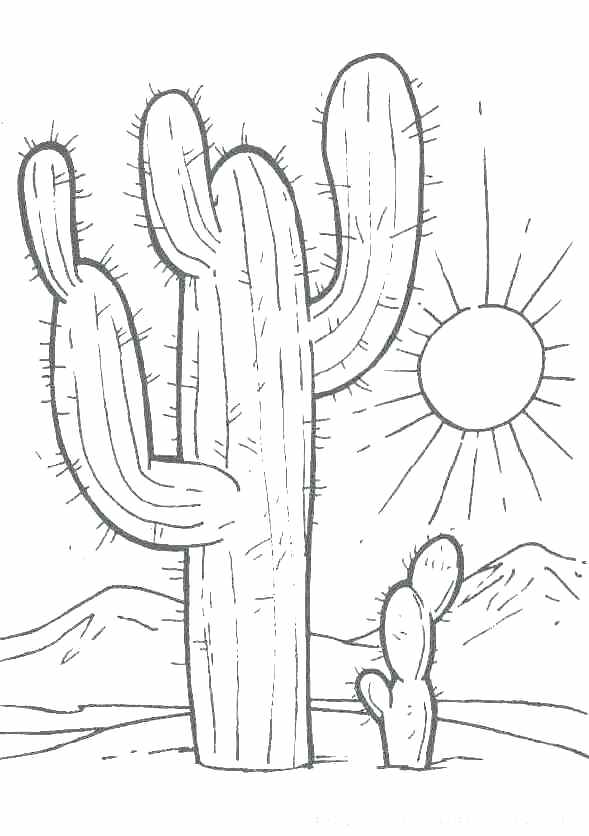 589x836 Desert Coloring Pages Coloring Desert Animals Coloring Pages