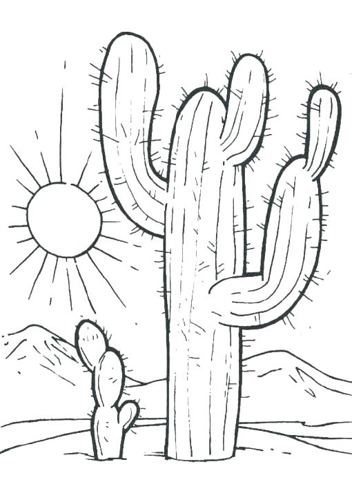 510x724 Desert Coloring Pages Desert Coloring Pages Desert Animal Coloring