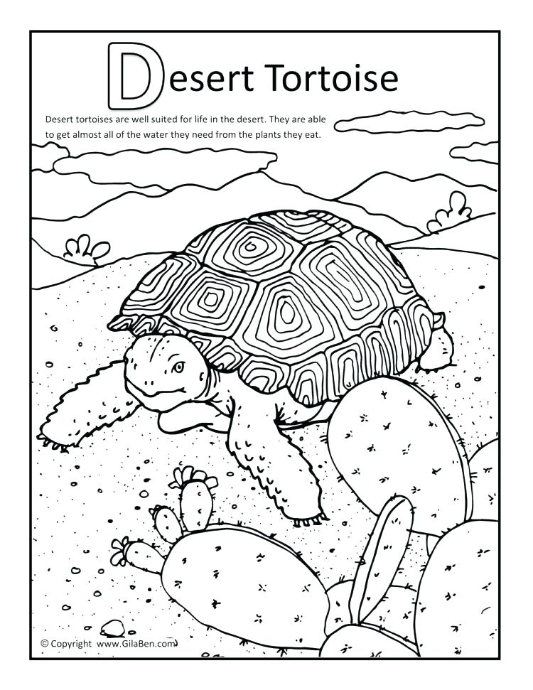 750x971 Desert Coloring Pages Desert Coloring Pages Plus Printable Desert
