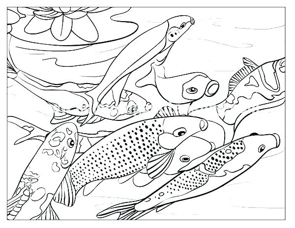 600x464 Animal Habitat Coloring Pages Desert Animals Page Forest Animal
