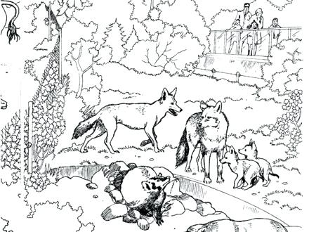 440x330 Animal Habitat Coloring Pages Ocean Habitat Coloring Pages Animal