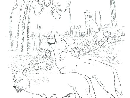 440x330 Animal Habitats Coloring Pages