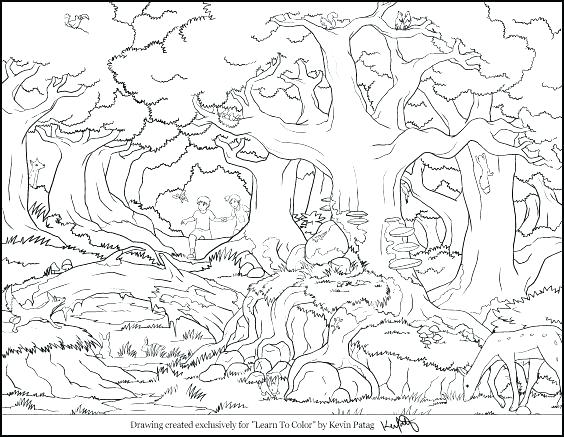 564x437 Animal Habitat Coloring Pages