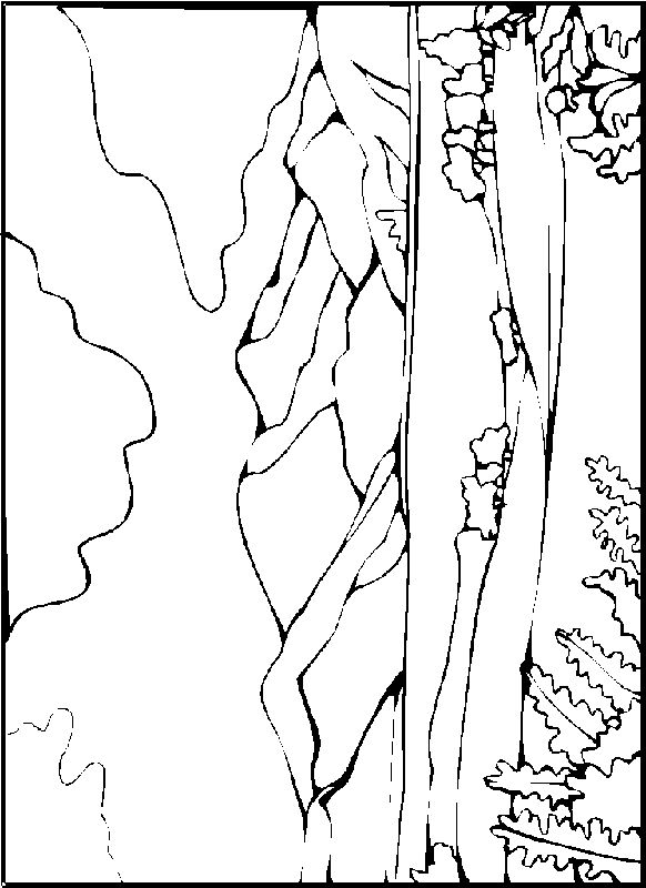 Desert Landscape Coloring Pages