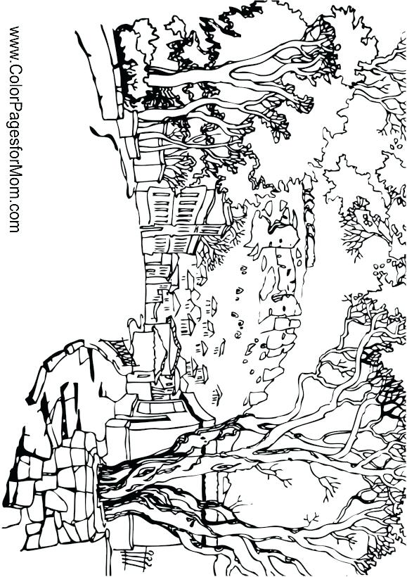 579x820 Landscape Coloring Pages And Landscape Coloring Page 26 Desert