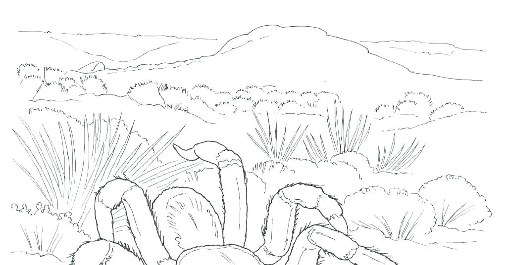 1024x536 Desert Coloring Pages Desert Animal Coloring Pages Desert Coloring