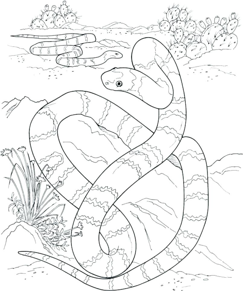 805x963 Desert Coloring Pages Is Tempted In The Landscape Color Murs