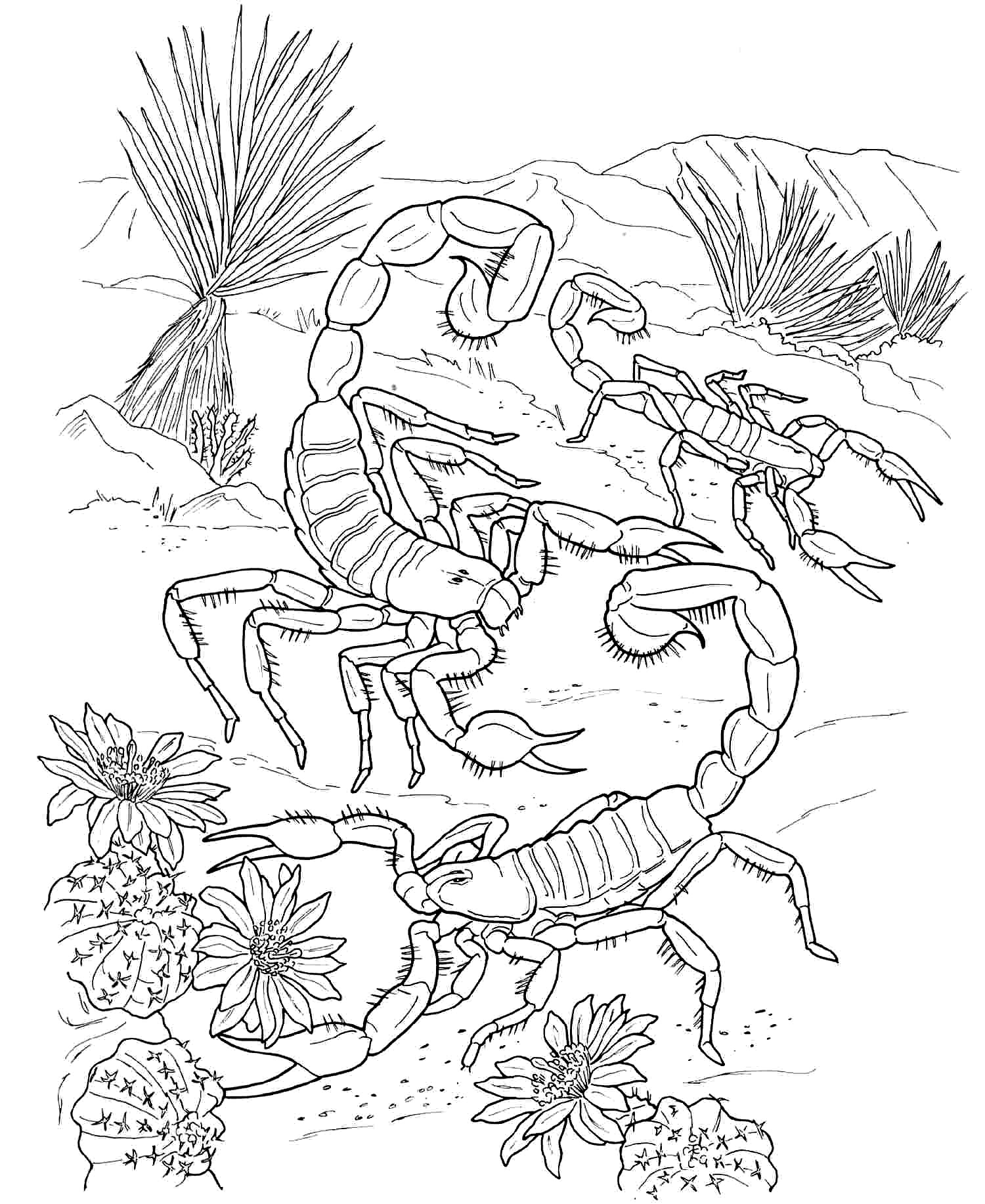 Desert Plants Coloring Pages