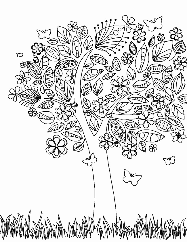 650x841 Desert Plants Coloring Pages Ohmygirl.us