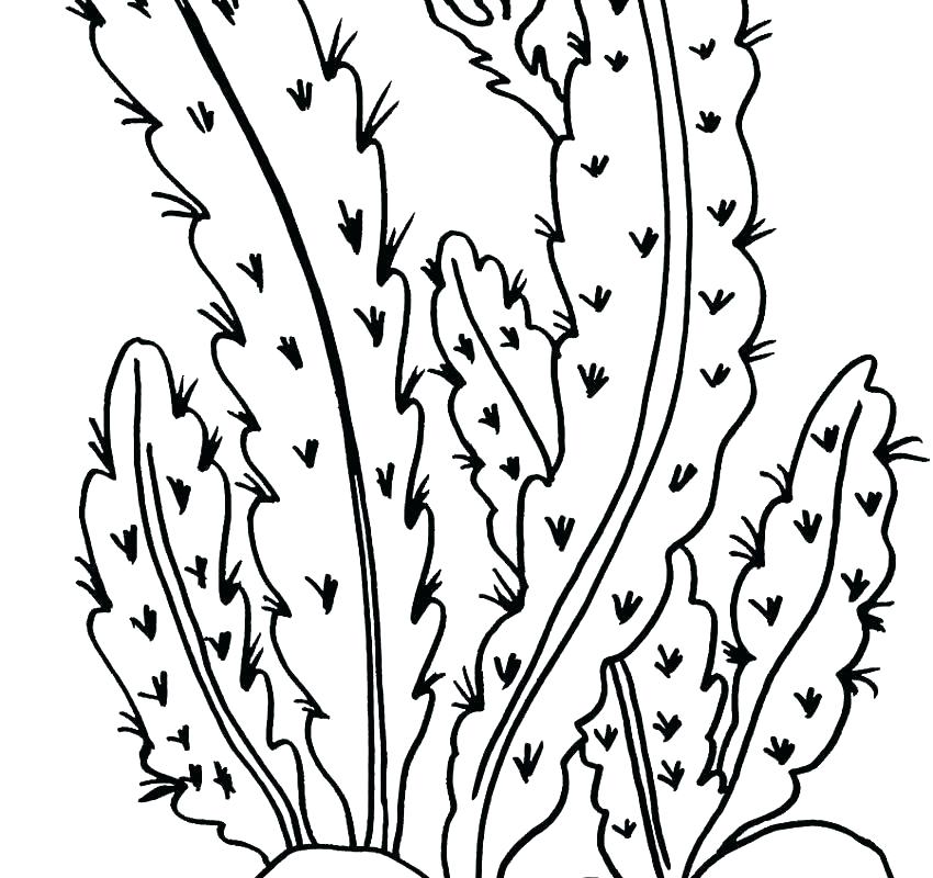 850x800 Plants Coloring Page Plants Vs Zombies Coloring Pages Plants