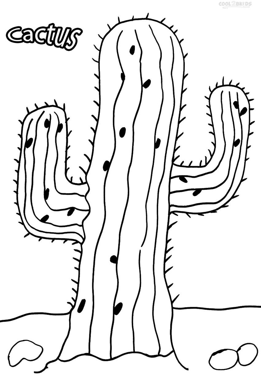 850x1224 Printable Desert Plants Coloring Pages Colouring To Fancy Cactus