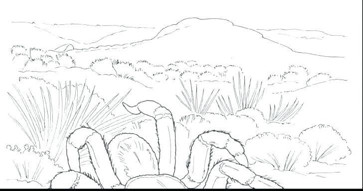 728x384 Desert Coloring Pages Printable